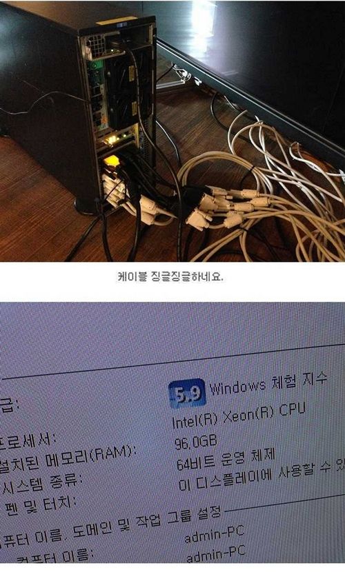 디스플레이류 甲.jpg