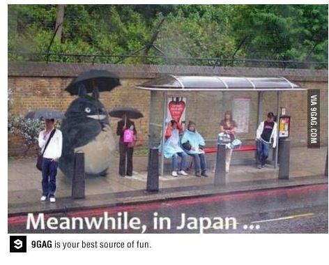 일본의 흔한 정류장.jpg