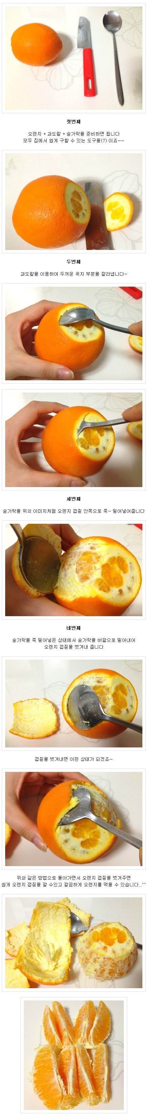 [팁]오렌지 쉽게까는법.jpg