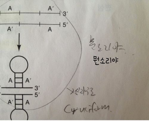 필기하다 빡침.jpg