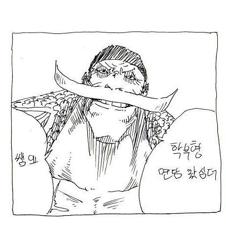 원피스 친구버전.JPG