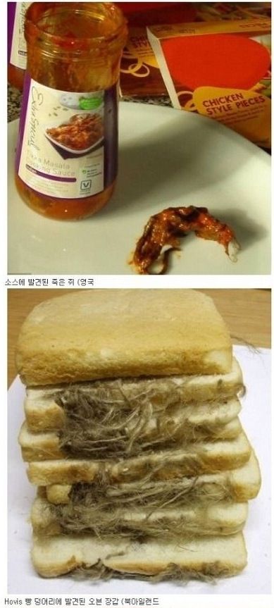 [혐]각나라에서발견된음식속이물질