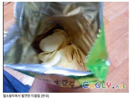 [혐]각나라에서발견된음식속이물질