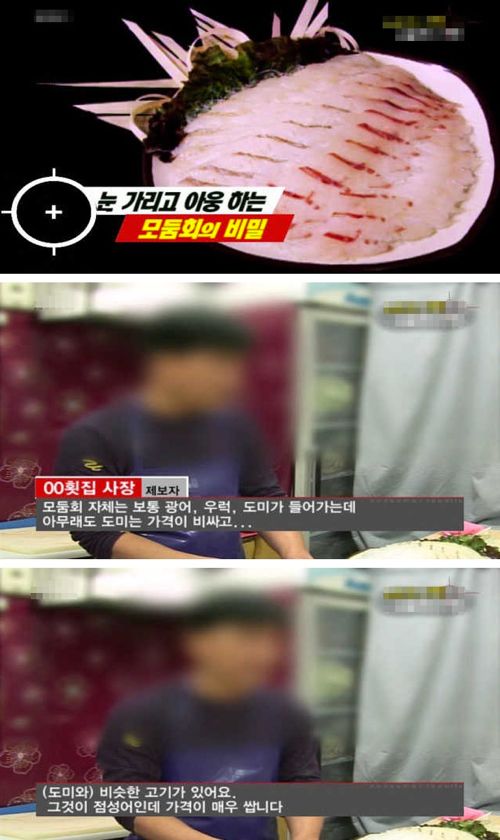 참돔의 진실.jpg