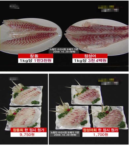 참돔의 진실.jpg