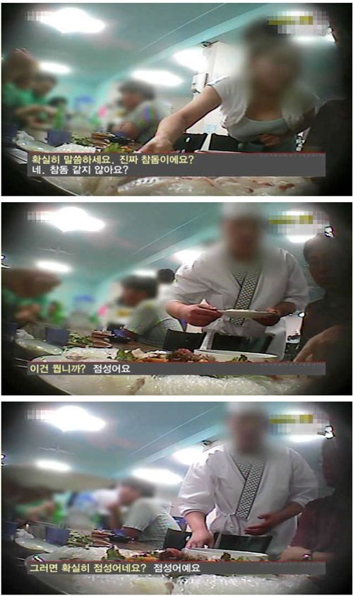 참돔의 진실.jpg