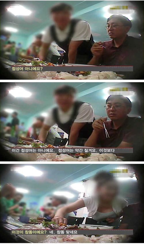 참돔의 진실.jpg