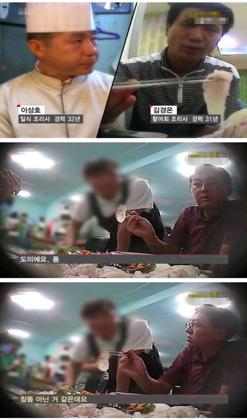 참돔의 진실.jpg