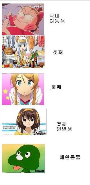 콩가루 가족구성류.jpg