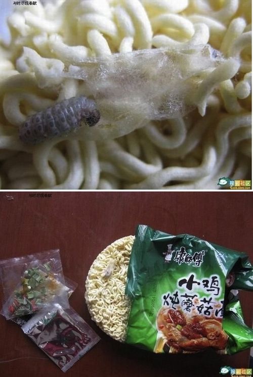 [약혐]대륙의 라면.jpg