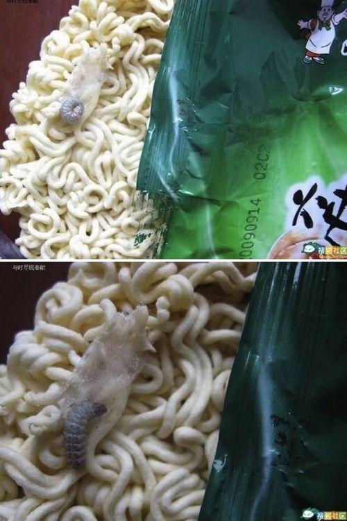 [약혐]대륙의 라면.jpg
