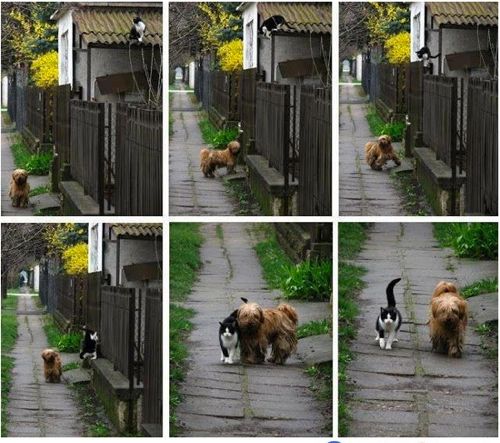 야 산책가자.jpg