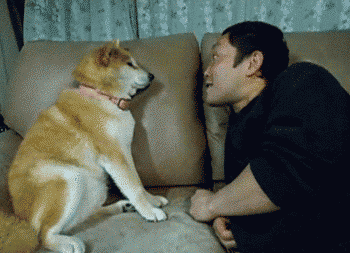 스톱.. 거기까지다.gif