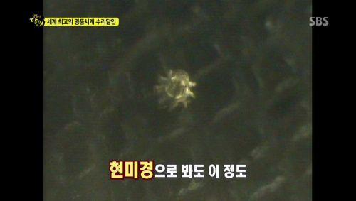 명품시계의 수리달인.jpg