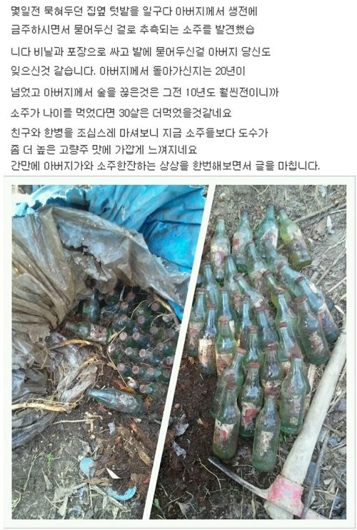 아버지의 30년된 소주.jpg