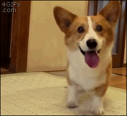 아놔 빨리빨리좀.gif