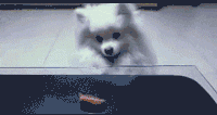 너에게 닿기를..gif