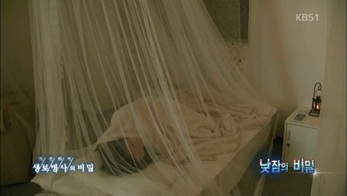 열도의 낮잠 카페.jpg