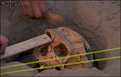 발굴 뜬금포.gif