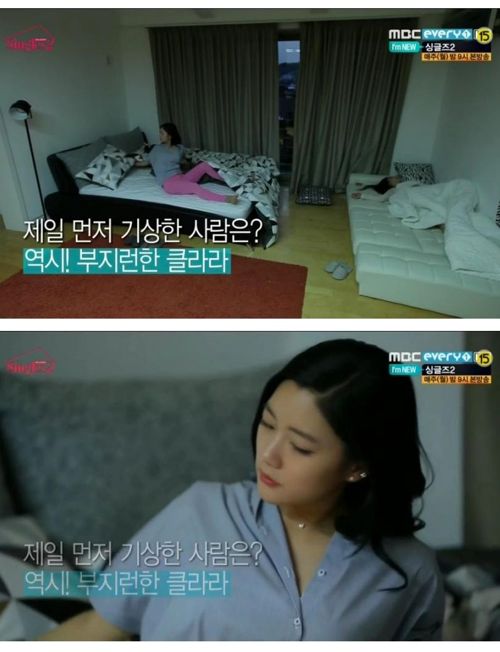 부지런한 연예인.jpg