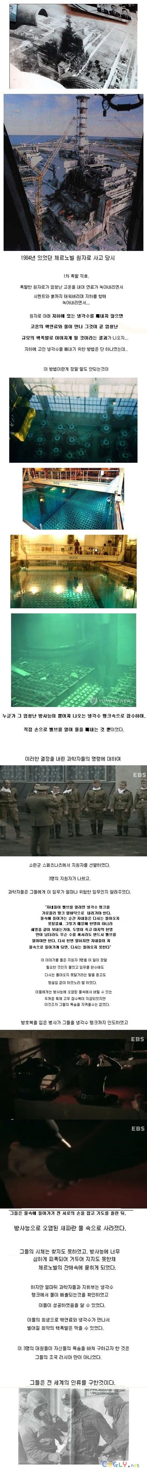 체르노빌의 진실.jpg
