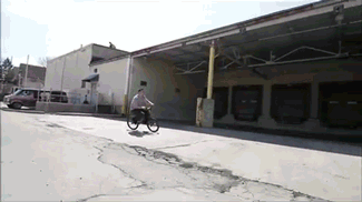 쿠키런.gif