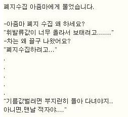 럭셔리한 폐지수집