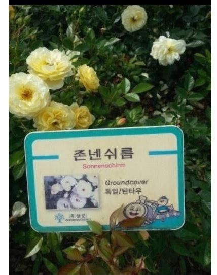 야 너 나랑 사귀자.jpg