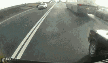 천만다행 류.gif