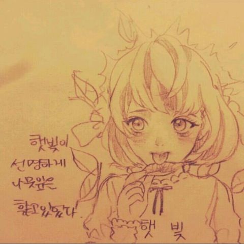 햇빛이 선명하게 나무를 핥고 있었다