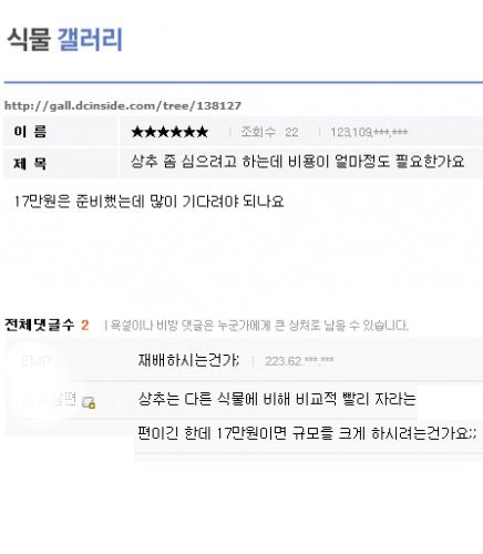 이시각 식물갤.jpg