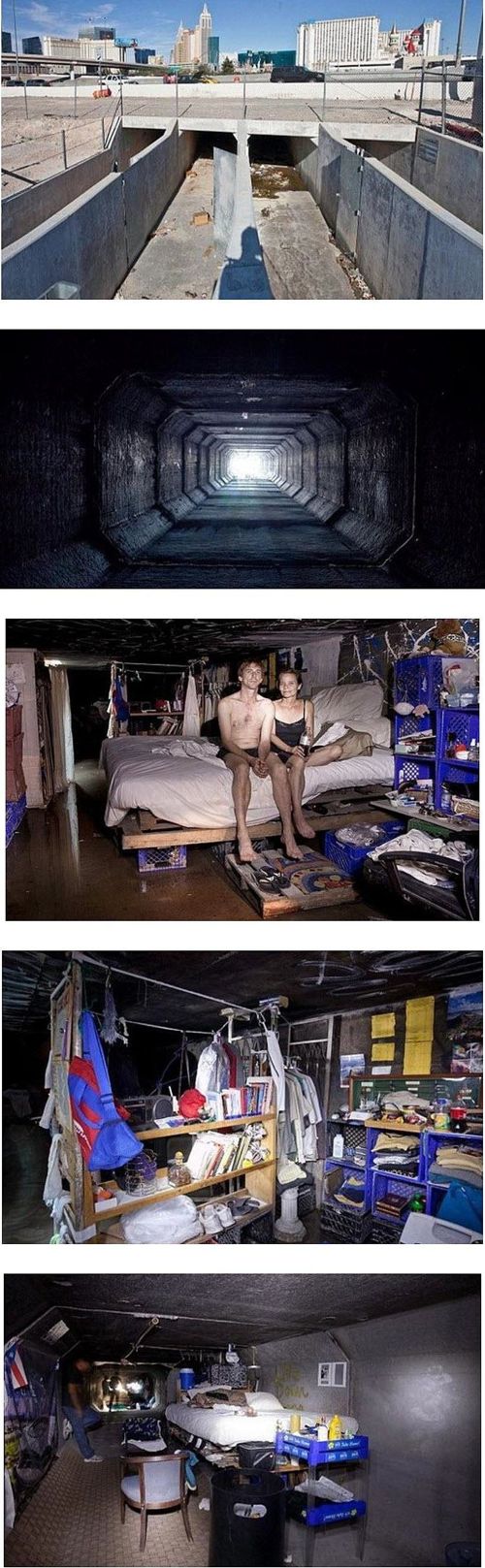 미국 거지 스케일.jpg