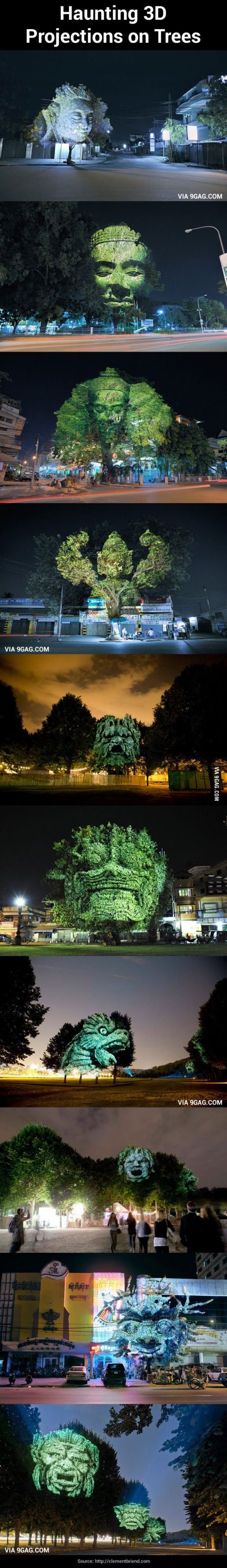 3D 나무.jpg