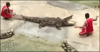 목 날아갈뻔.gif