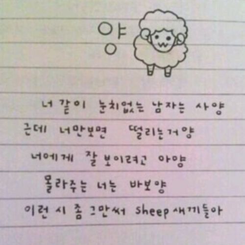양.txt