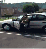 더워.gif