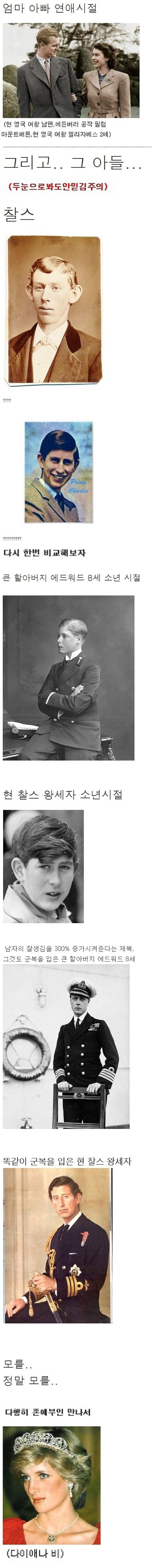 [스압]얼짱왕가에서 태어난 왕자