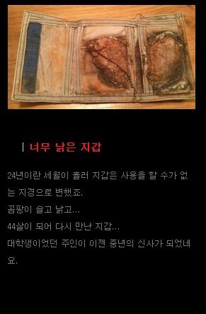 24년만에 돌아온 지갑.jpg