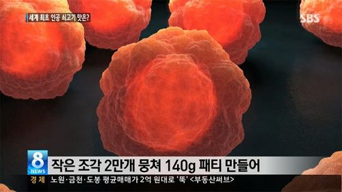 4억원짜리 패티.news