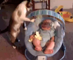 이 움짤은 무슨 상황일까?.gif