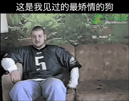 이맛에 개키우지.gif