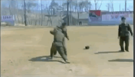 북괴 특공무술 수준.gif