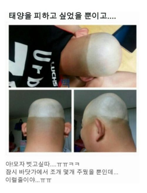 태양을 피하고 싶었을뿐.jpg