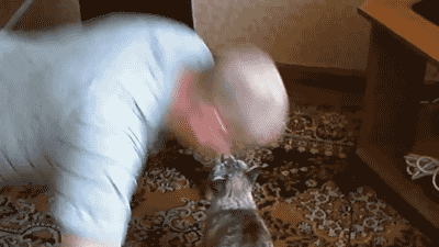 자세가 그게뭐냥?.gif