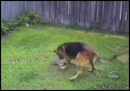 복수.gif