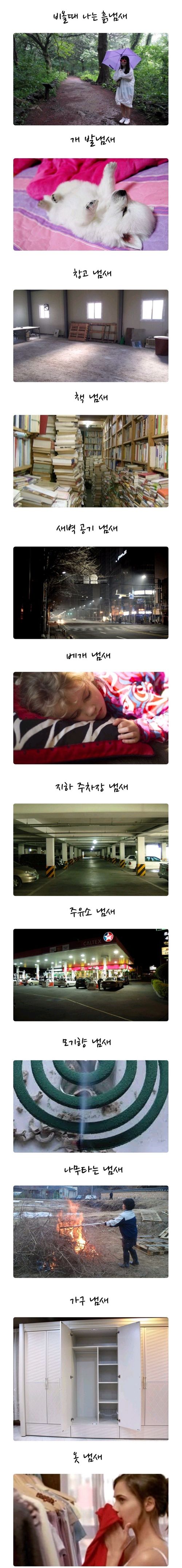 사람들이 은근히 좋아하는 냄새