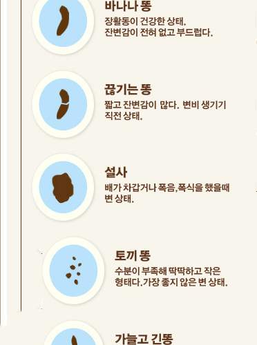 똥으로 알아보는.JPG