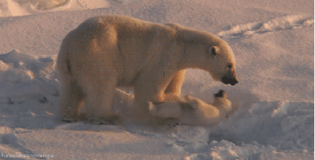 아가 잘시간이다.gif