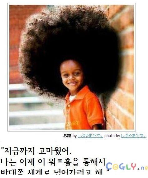 열도의 제목학원 우수작11