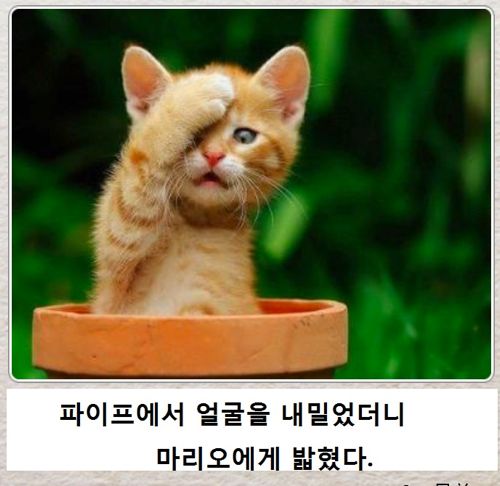 열도의 제목학원 우수작13